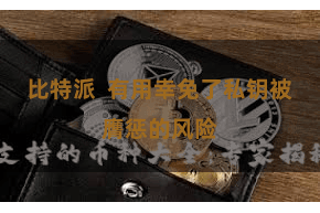 比特派  有用幸免了私钥被膺惩的风险