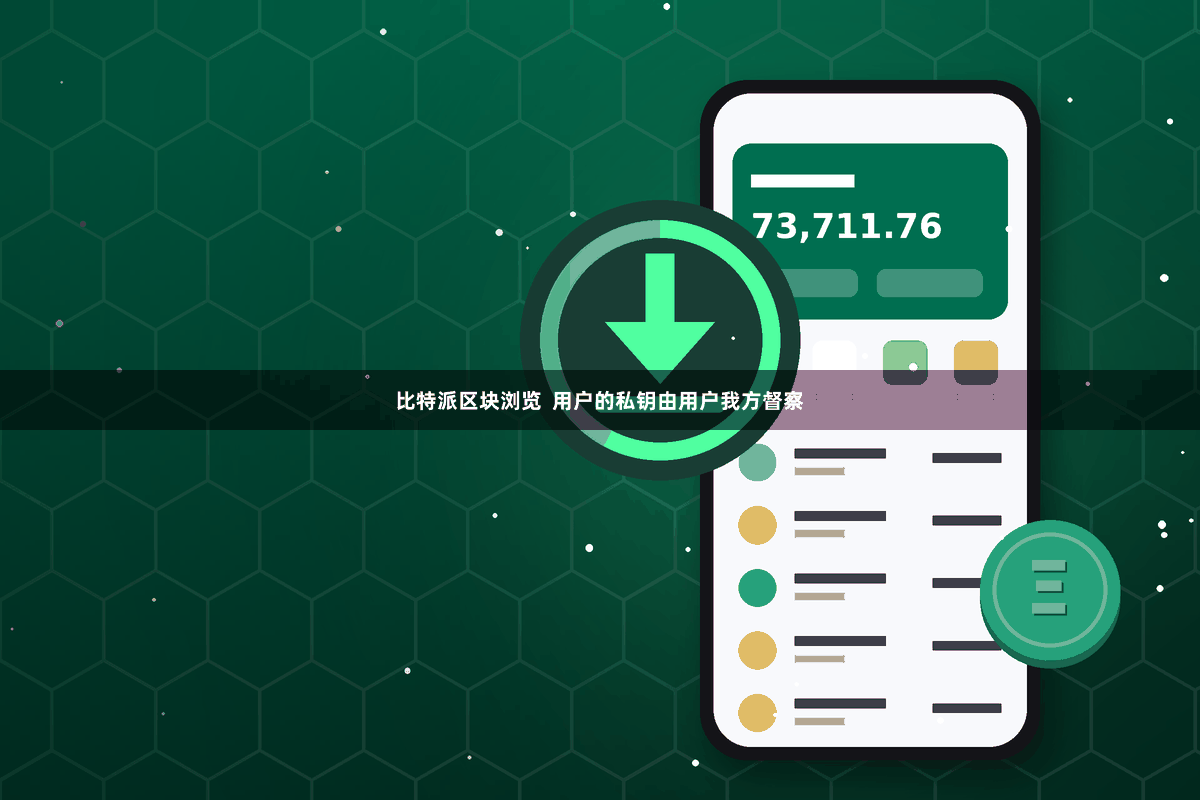 比特派区块浏览  用户的私钥由用户我方督察